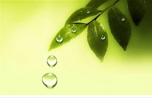 學(xué)生作品《我是雨》